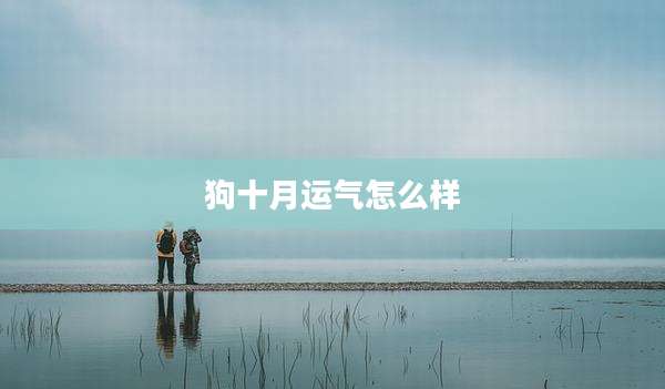 狗十月运气怎么样