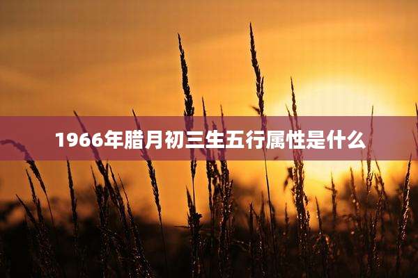 1966年腊月初三生五行属性是什么