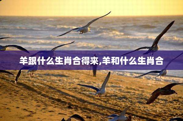 羊跟什么生肖合得来,羊和什么生肖合