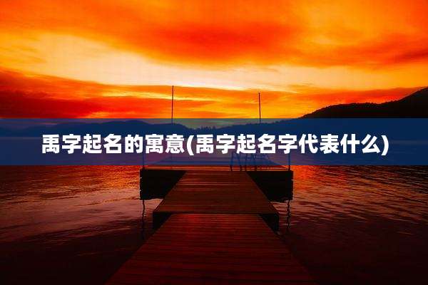 禹字起名的寓意(禹字起名字代表什么)