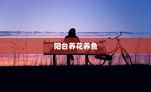 阳台养花养鱼