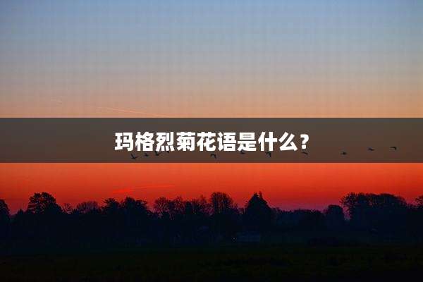 玛格烈菊花语是什么?