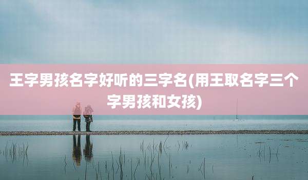 王字男孩名字好听的三字名(用王取名字三个字男孩和女孩)