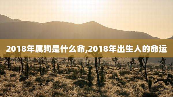 2018年属狗是什么命,2018年出生人的命运