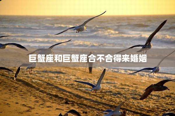 巨蟹座和巨蟹座合不合得来婚姻
