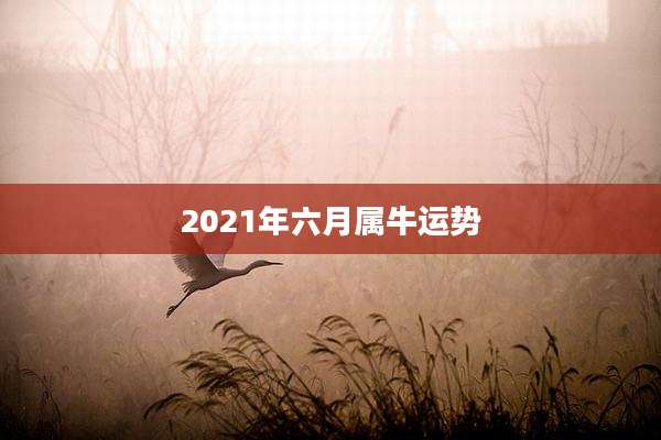 2021年六月属牛运势