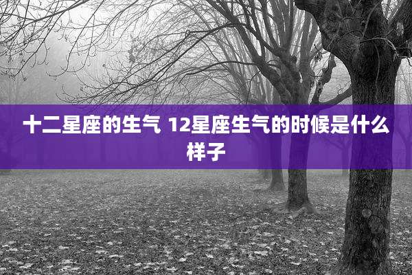 十二星座的生气 12星座生气的时候是什么样子