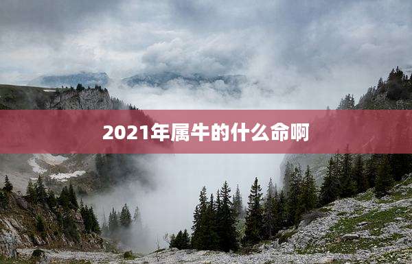 2021年属牛的什么命啊