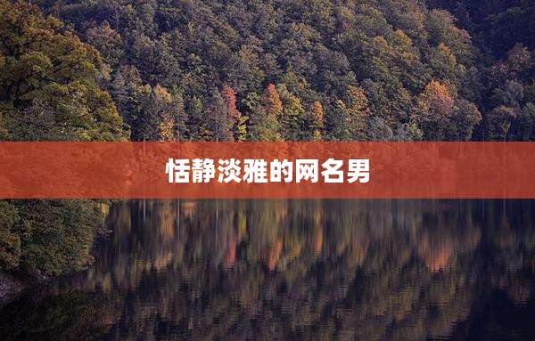 恬静淡雅的网名男