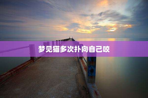 梦见猫多次扑向自己咬