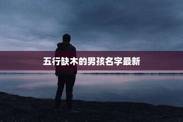 五行缺木的男孩名字最新