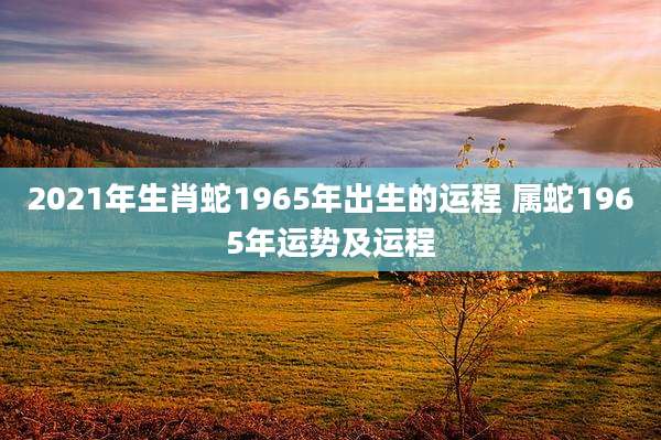 2021年生肖蛇1965年出生的运程 属蛇1965年运势及运程