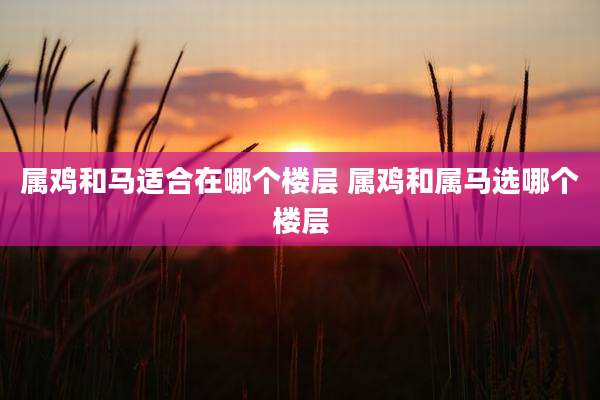 属鸡和马适合在哪个楼层 属鸡和属马选哪个楼层