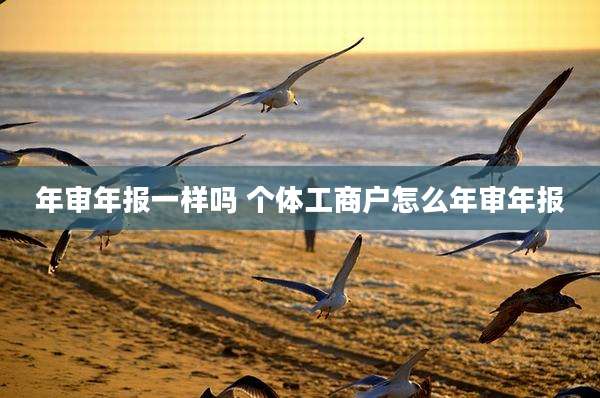 年审年报一样吗 个体工商户怎么年审年报