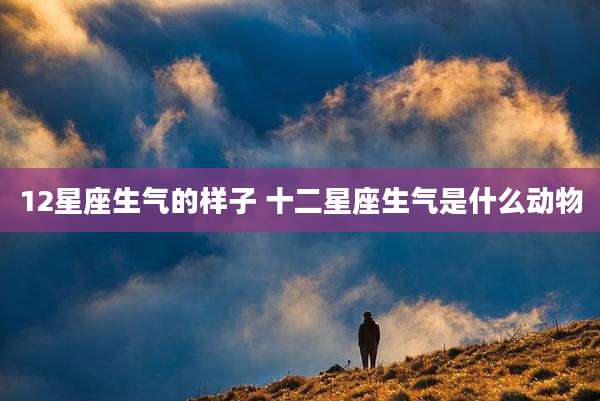 12星座生气的样子 十二星座生气是什么动物