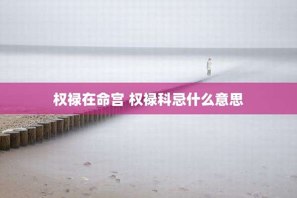 权禄在命宫 权禄科忌什么意思