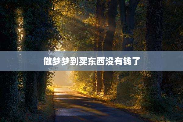 做梦梦到买东西没有钱了