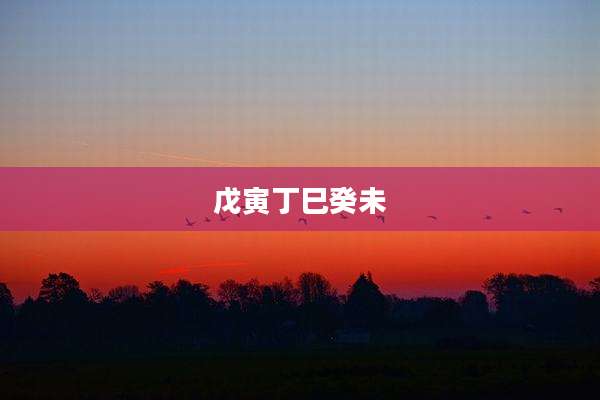 戊寅丁巳癸未