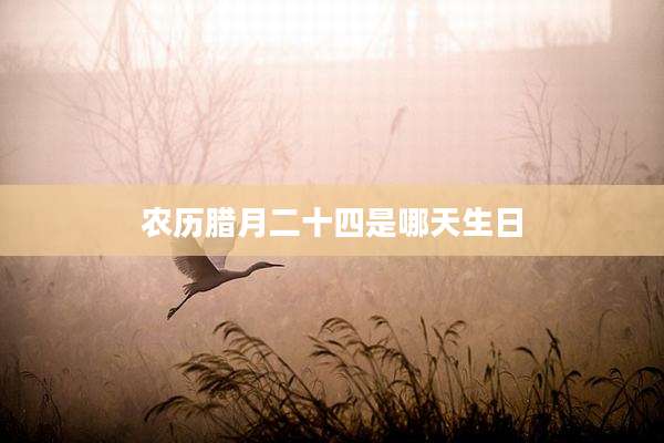 农历腊月二十四是哪天生日