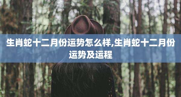 生肖蛇十二月份运势怎么样,生肖蛇十二月份运势及运程