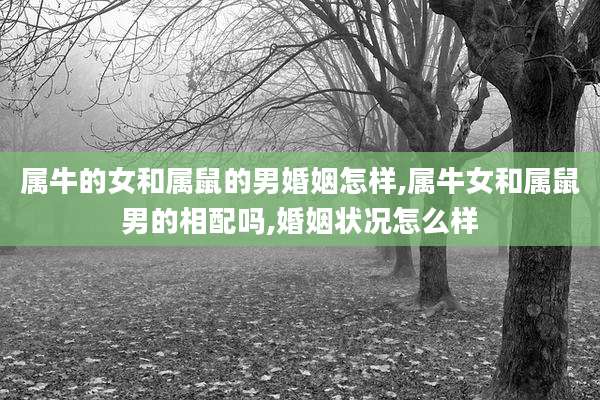 属牛的女和属鼠的男婚姻怎样,属牛女和属鼠男的相配吗,婚姻状况怎么样