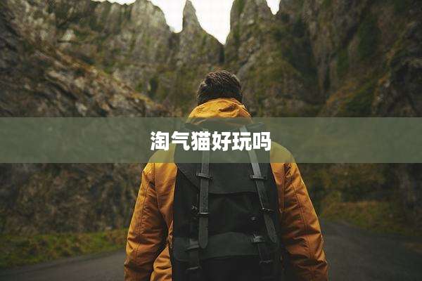淘气猫好玩吗
