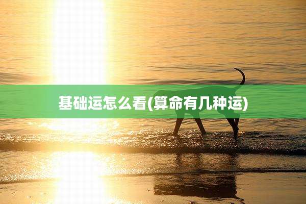 基础运怎么看(算命有几种运)