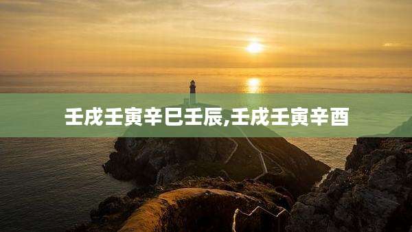壬戌壬寅辛巳壬辰,壬戌壬寅辛酉