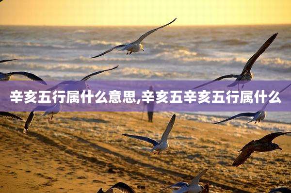 辛亥五行属什么意思,辛亥五辛亥五行属什么