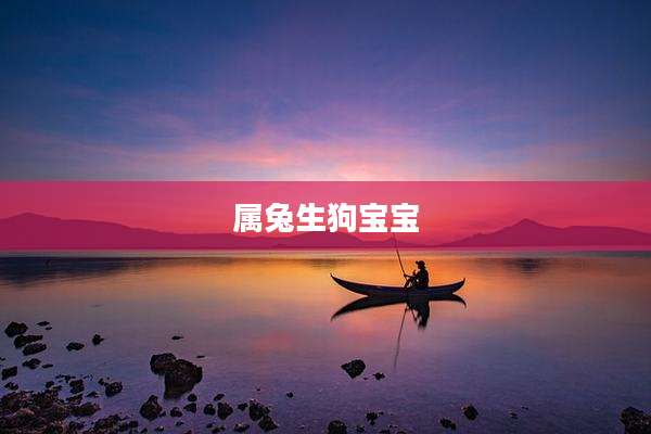 属兔生狗宝宝
