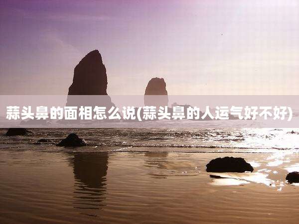 蒜头鼻的面相怎么说(蒜头鼻的人运气好不好)
