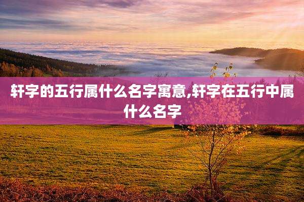 轩字的五行属什么名字寓意,轩字在五行中属什么名字