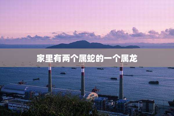 家里有两个属蛇的一个属龙