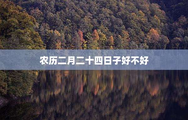 农历二月二十四日子好不好