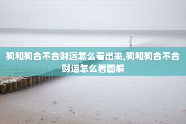 狗和狗合不合财运怎么看出来,狗和狗合不合财运怎么看图解