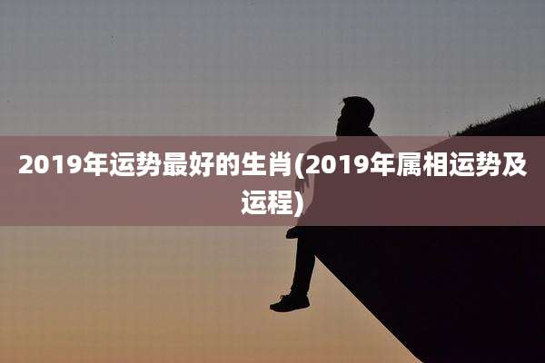 2019年运势最好的生肖(2019年属相运势及运程)