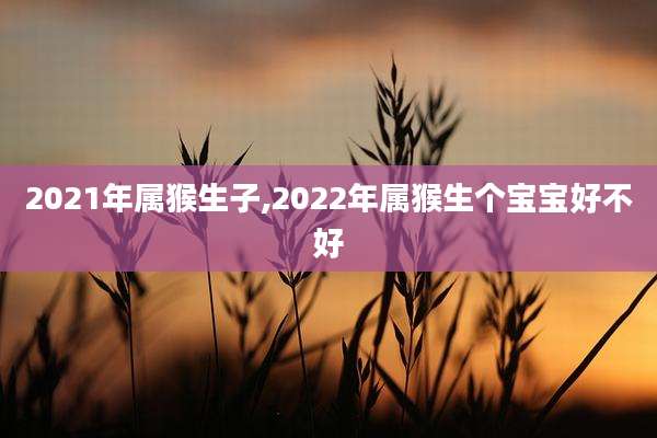 2021年属猴生子,2022年属猴生个宝宝好不好