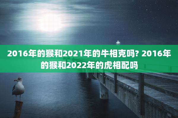 2016年的猴和2021年的牛相克吗? 2016年的猴和2022年的虎相配吗