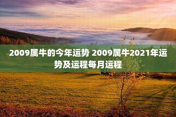 2009属牛的今年运势 2009属牛2021年运势及运程每月运程