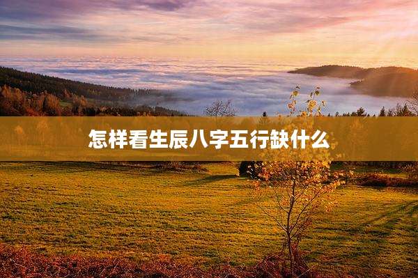 怎样看生辰八字五行缺什么