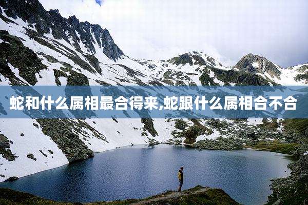 蛇和什么属相最合得来,蛇跟什么属相合不合