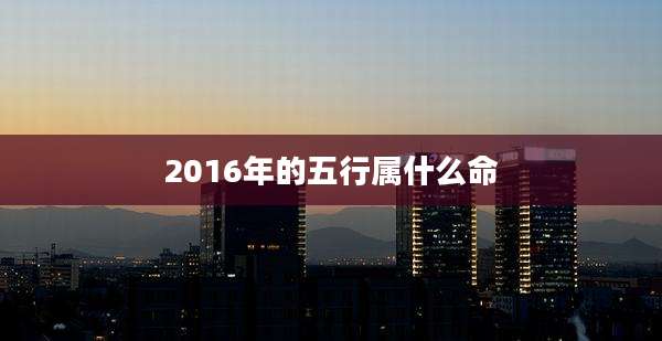 2016年的五行属什么命