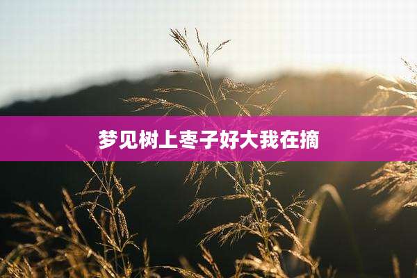 梦见树上枣子好大我在摘