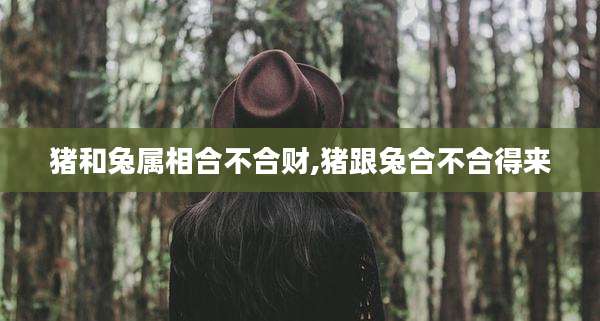 猪和兔属相合不合财,猪跟兔合不合得来
