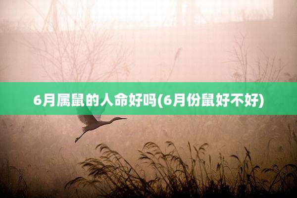 6月属鼠的人命好吗(6月份鼠好不好)