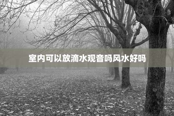 室内可以放滴水观音吗风水好吗