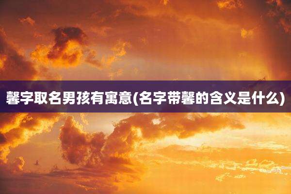 馨字取名男孩有寓意(名字带馨的含义是什么)