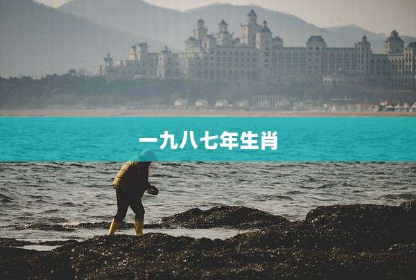 一九八七年生肖