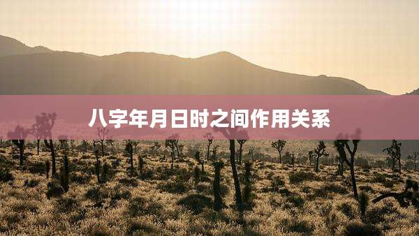 八字年月日时之间作用关系