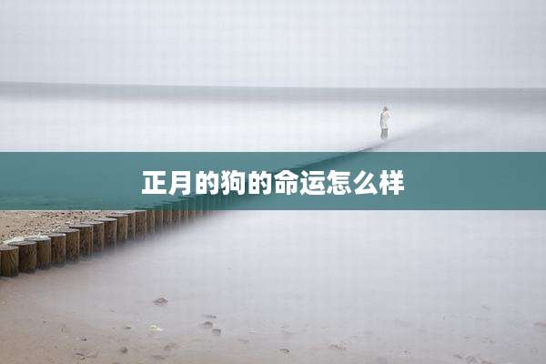 正月的狗的命运怎么样